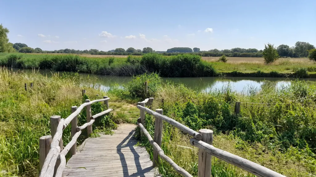 A wooden boardwalk with railings curves through long grass down to a river bank. On the other side are fields and trees set beneath a blue sky.