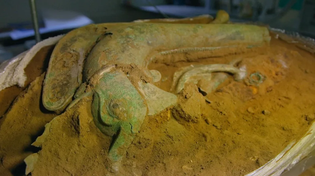 The head of an Iron Age carnyx emerging out of a block of sandy soil. It is lying on its side and half buried. It has the head of an animal, with a gaping mouth and crest.