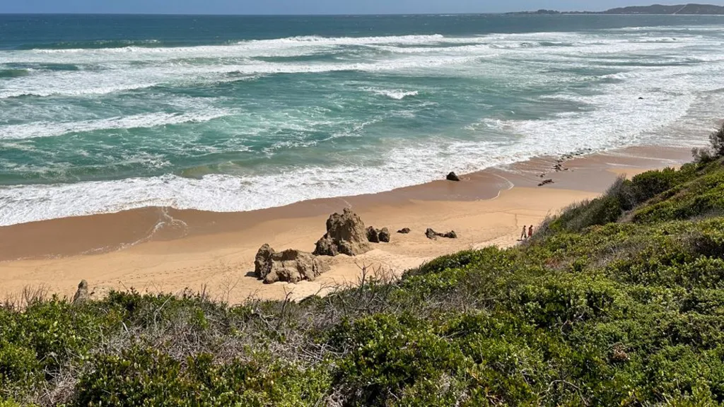 Beach scene at Knysna, also showing the dense greenery of the coast