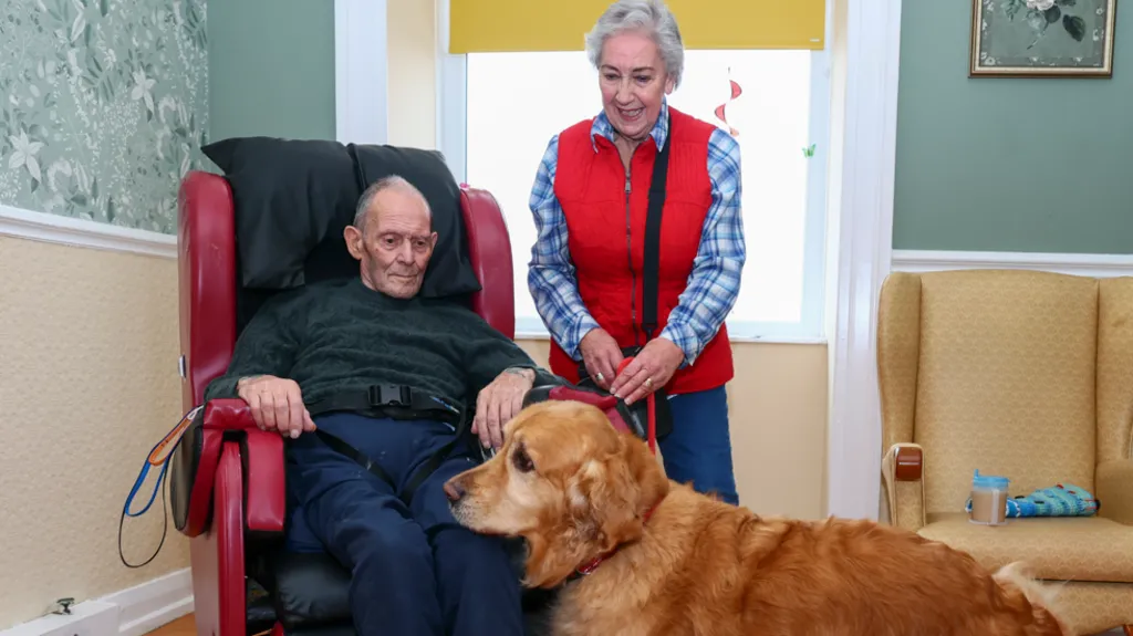 A golden retriever is standing in front of a man sitting in a chair in a room at a care home. The man is looking down at the dog. A woman is standing next to the man and looking down at the dog and smiling.