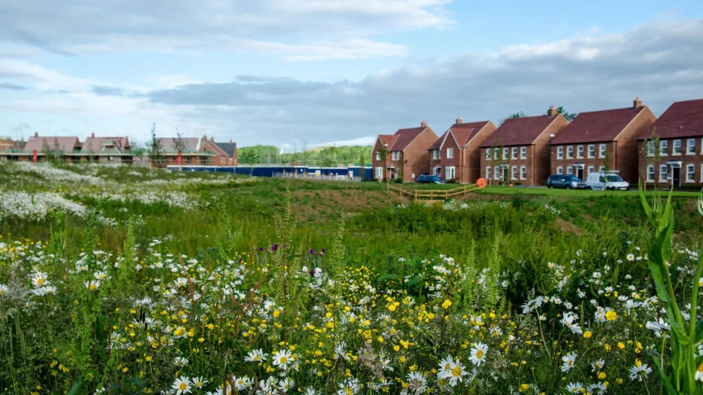Eight new brick red-roofed detached houses sit behind a wild flower meadow underneath a cloudy blue sky.