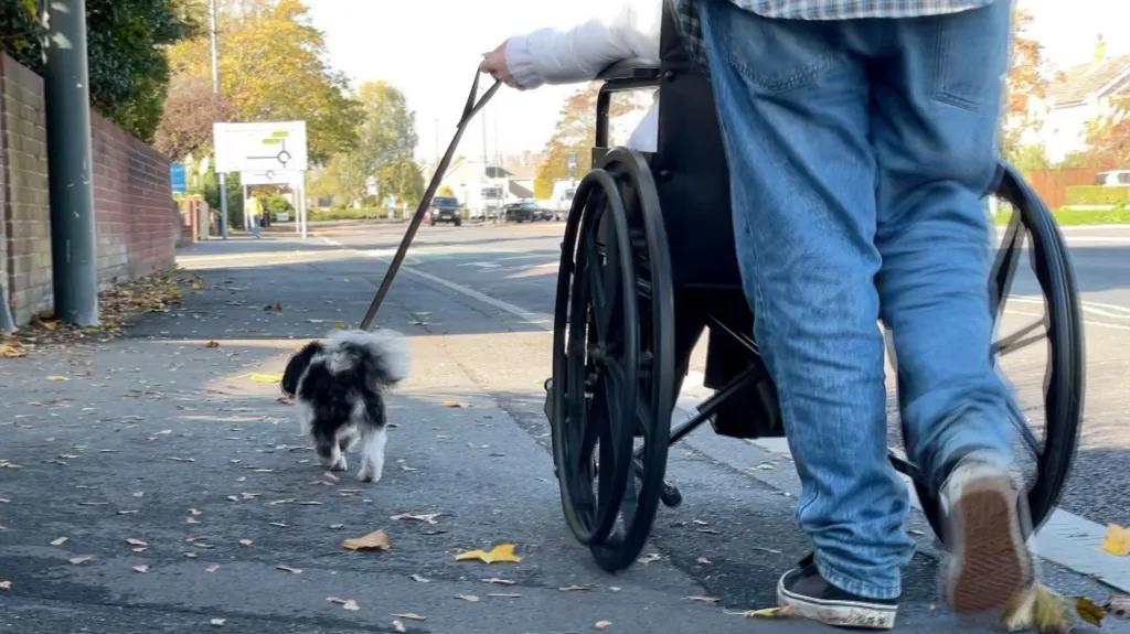 A person in a wheelchair is being pushed away from the camera by another person in jeans. They are holding a lead with a small black and white dog on it, and are heading along a pavement towards a roundabout.