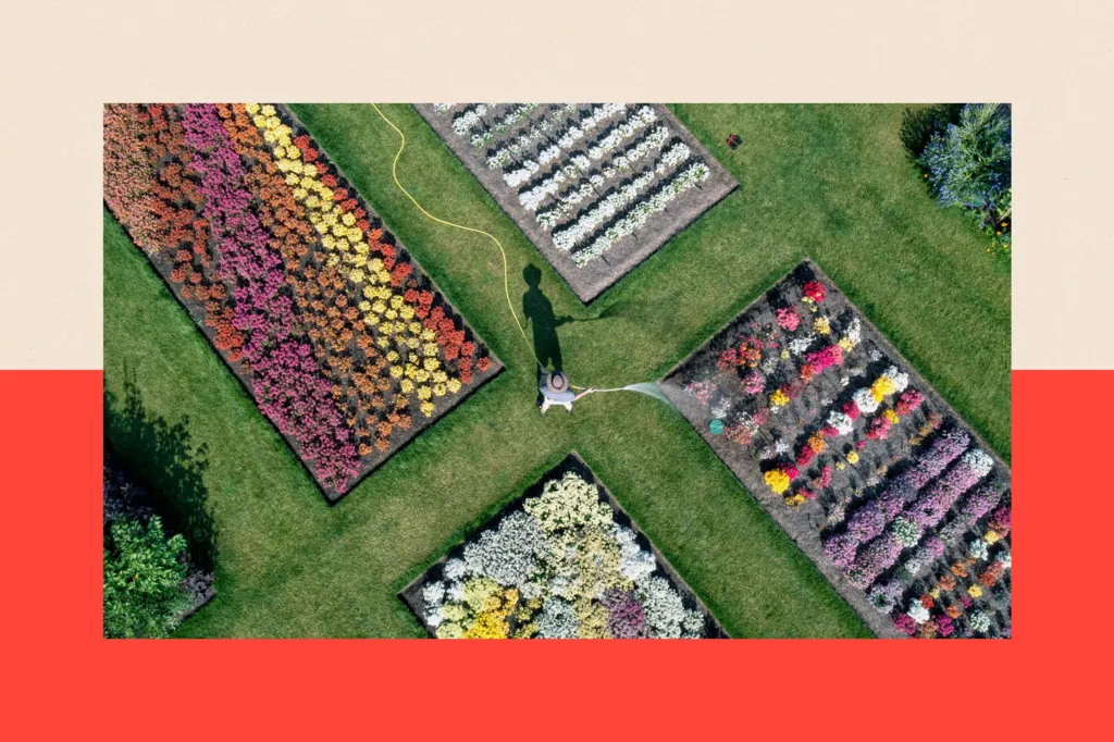 An aerial view of colourful fields at RHS Garden Wisley