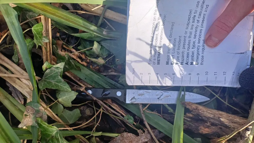 A knife lying in greenery, with a hand positioning a paper ruler next to the blade to measure it.