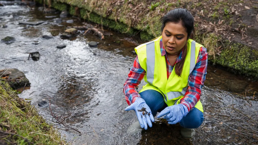 Stock photo shows a person crouching in a river in the UK wearing a reflective vest and blue latex gloves while holding riverbed samples in her hand and studying it.