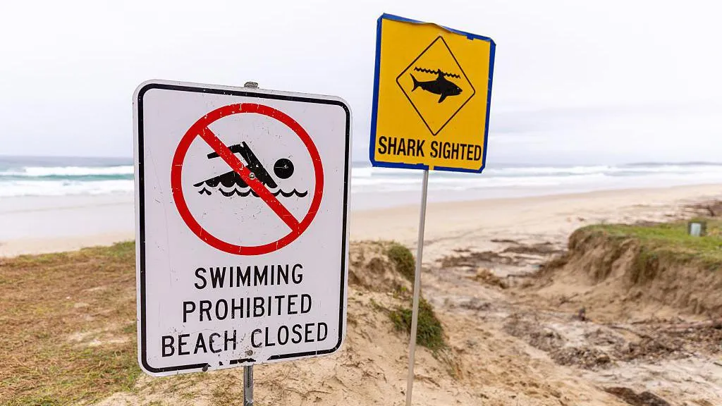 A beach with two signposts, one saying "Swimming prohibited beach closed" next to a crossed our symbol of a person swimming, the other saying "Shark sighted" next to a symbol of a shark underwater