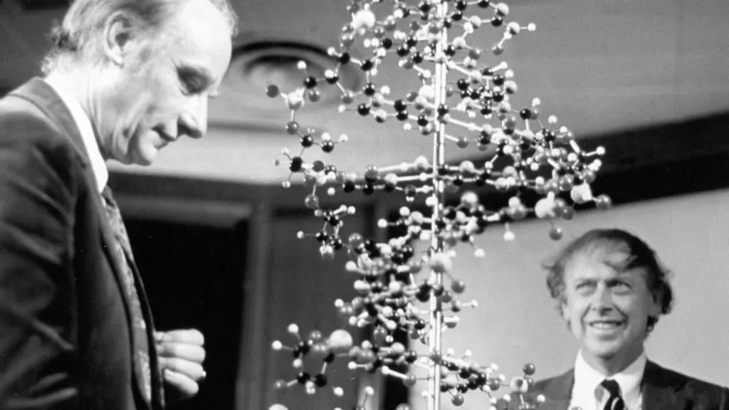 Black and white image of two men looking at a 3D model of DNA, which basically looks like lots of round lego in a statue structure.