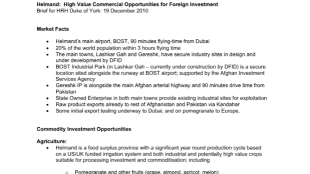 A snippet of the briefing which begins Helmand: High Value Commercial Opportunities for Foreign Investment and says Brief for HRH Duke of York: 19 December 2010