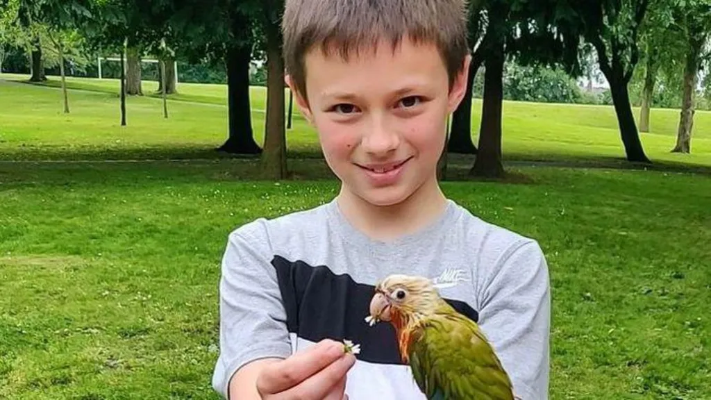 Leo Ross, a boy with brown hair, smiles at the camera while holding a daisy in one hand. He is holding a green and white parrot-type bird which is eating the daisy.