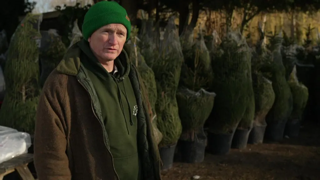 Jonathan Mearns is seen wearing a green beanie and green hoodie stands outdoors beside rows of potted Christmas trees wrapped in netting, with trees and foliage visible in the background.