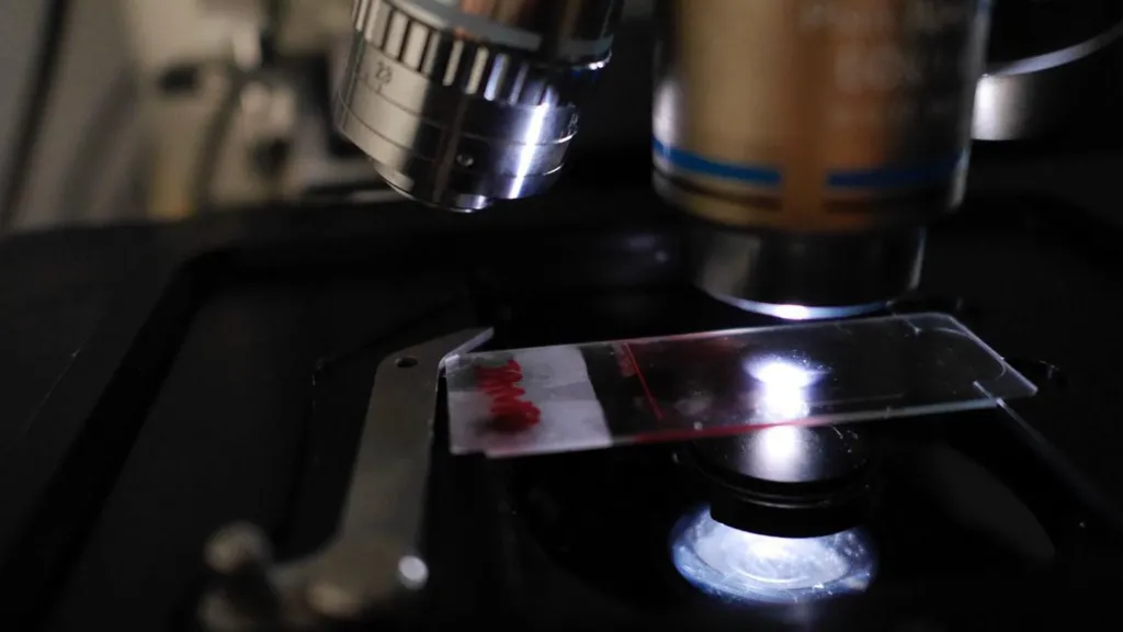 The clear sheet of glass containing the streak of blood is 