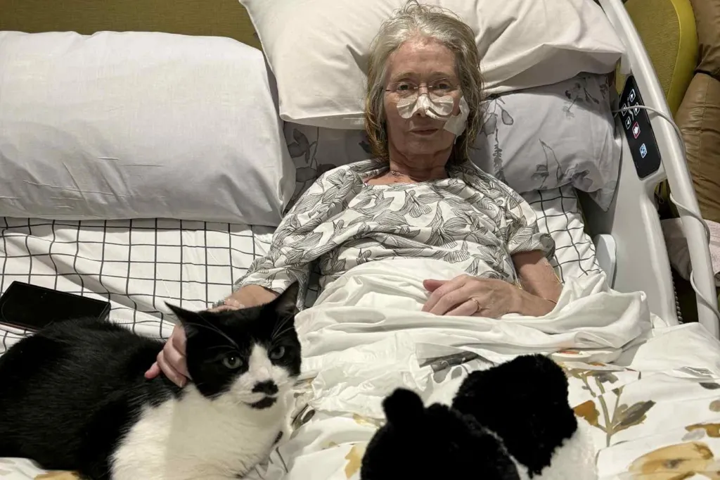Rowena is sitting in a hospice bed - it looks similar to a hospital bed, with a tube attached to her nose, with micropore tape holding it in place. She is wearing a black and white top and is under the sheets. She is stroking her cat, who has been brought into the hospice. The cat is mostly black with patches of white. Rowena, who has mid length grey hair combed back and wears glasses, is looking into camera with a slight smile on her face. 